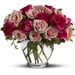 Spray Roses are Pink